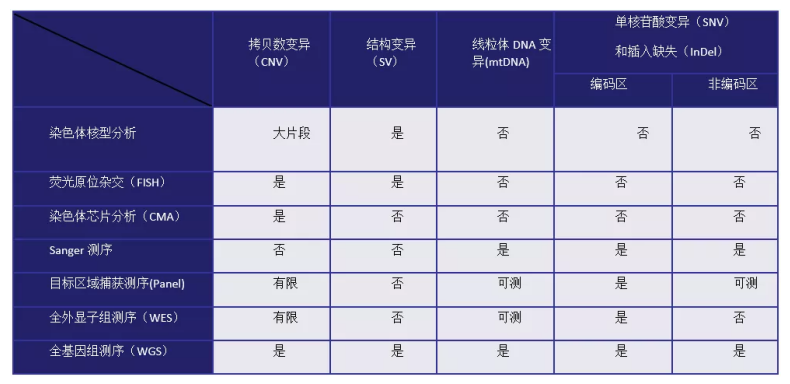 新冠病毒全基因测序实验 新冠病毒全基因测序实验报告