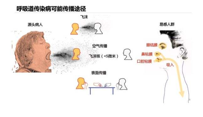 新冠病毒传播怎么这么快 新冠病毒传播速度为什么那么快