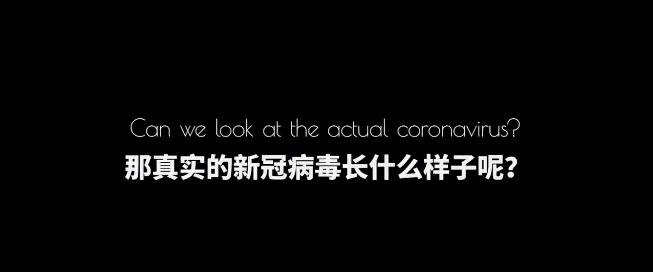 新冠病毒传播怎么这么快 新冠病毒传播速度为什么那么快