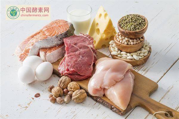 减肥能吃高蛋白食物吗 多吃高蛋白食物能减肥吗