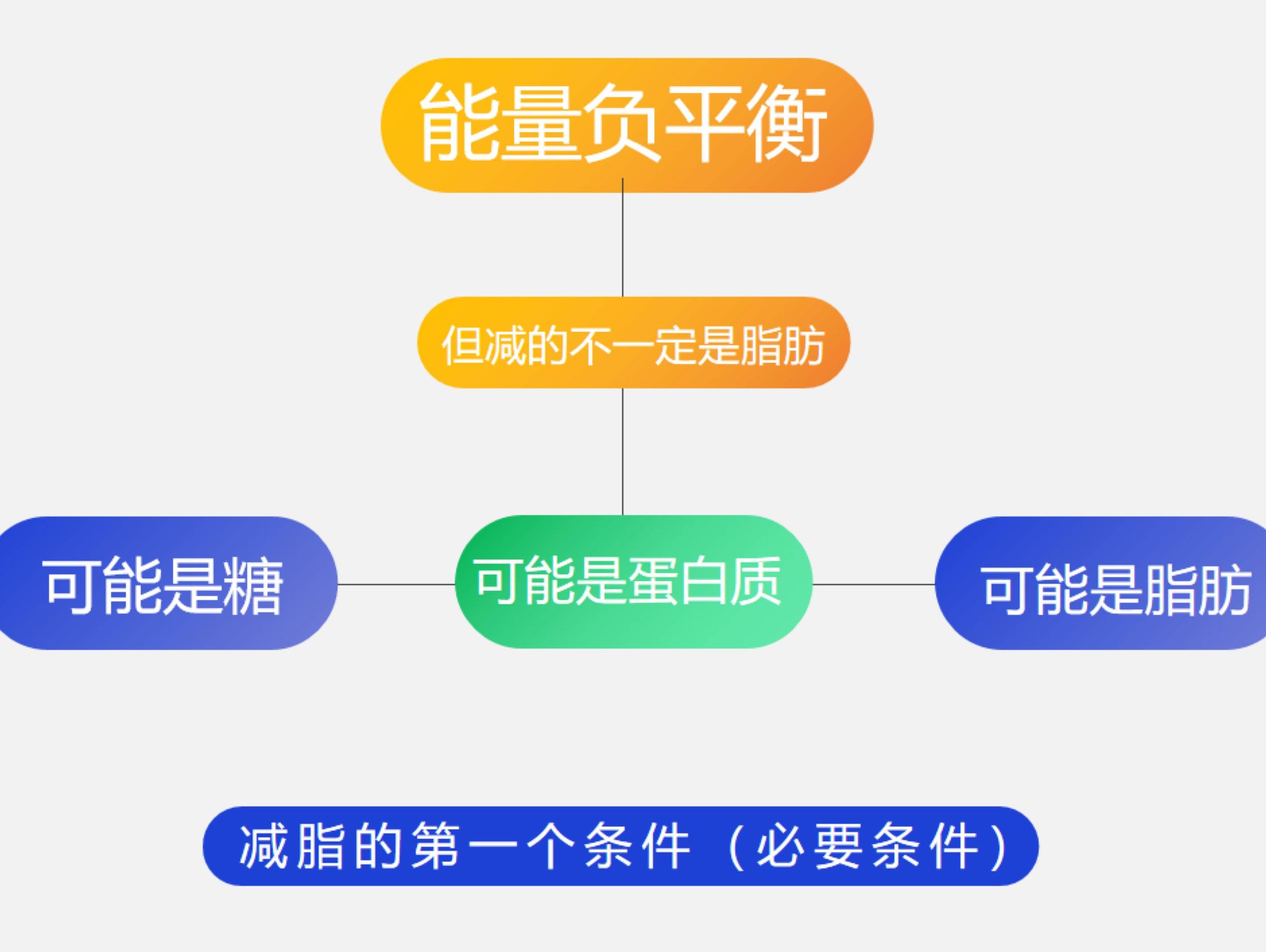 科学减肥的意义 减肥的真正意义在于