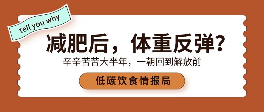 尚赫减肥不反弹的原因 尚赫减肥会不会伤害身体