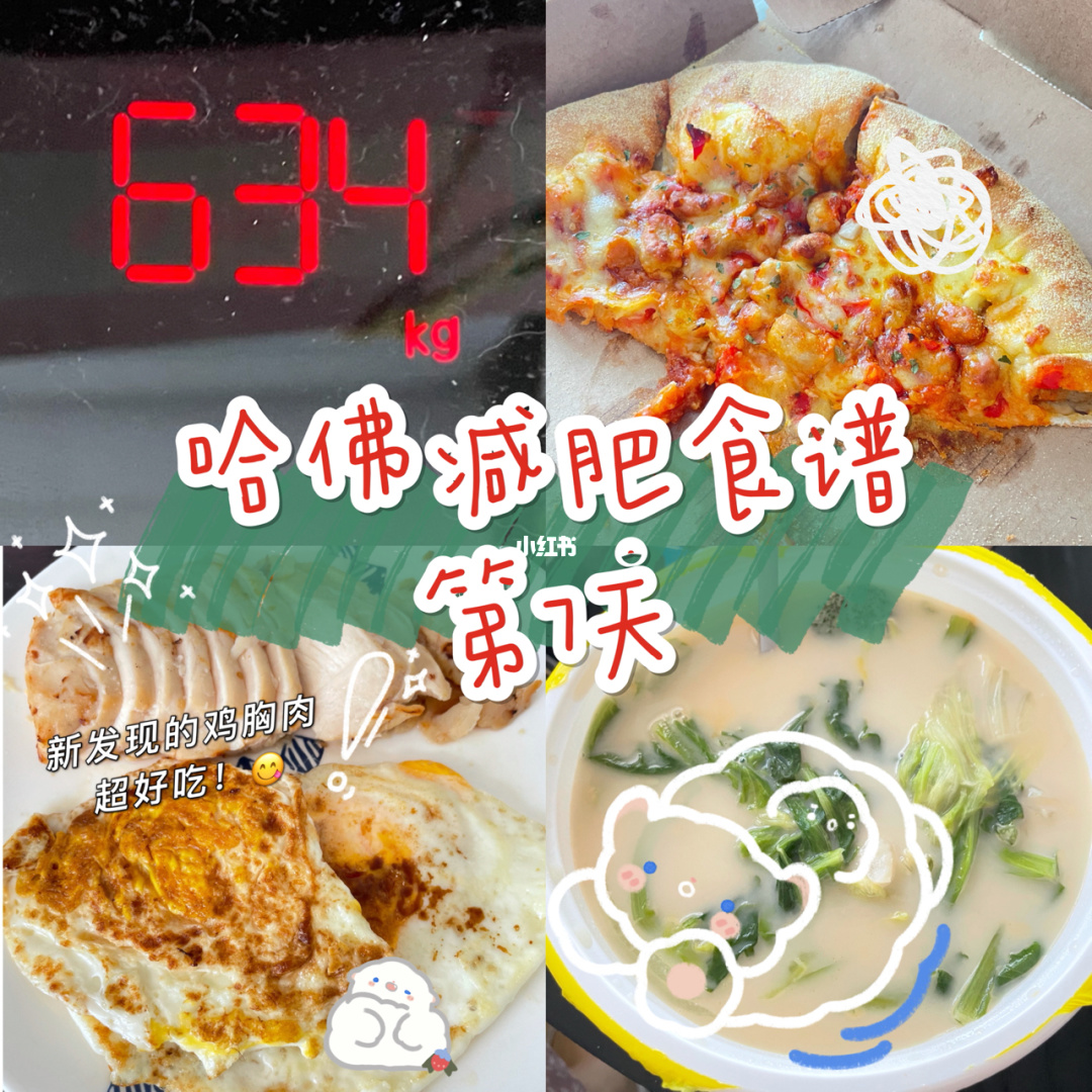 哈佛减肥 哈佛减肥法食谱