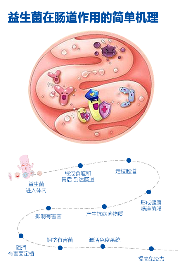 益生菌有什么 益生菌有什么副作用