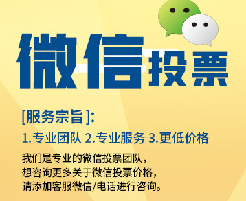 纯人工微信投票多少钱一张 微信人工投票10元10000票