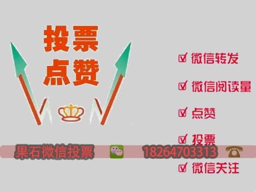 专业微信人工投票团队 专业微信人工投票团队哪个可信