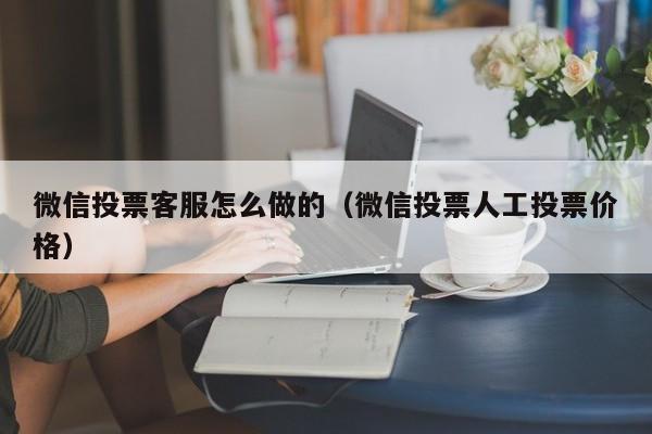 微信投票客服怎么做的（微信投票人工投票价格）