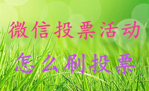 微信人工投票团队怎么弄 微信人工投票团队怎么创建