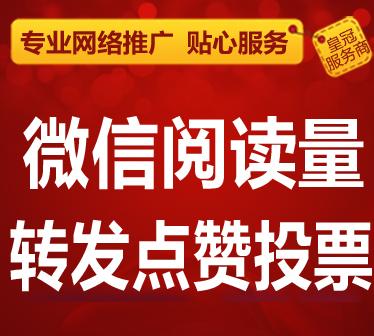 贵阳微信人工投票价格 微信人工投票10元100票搜狐