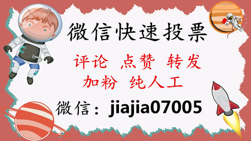 海南微信人工投票价格 微信人工投票一万票100块