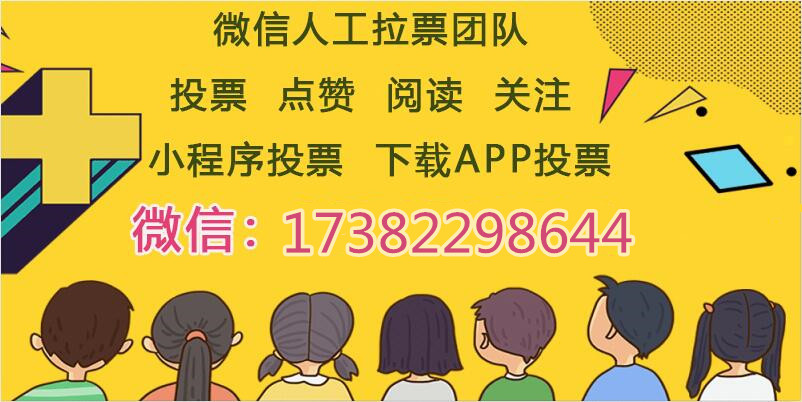 微信人工投票程序 微信人工投票服务平台