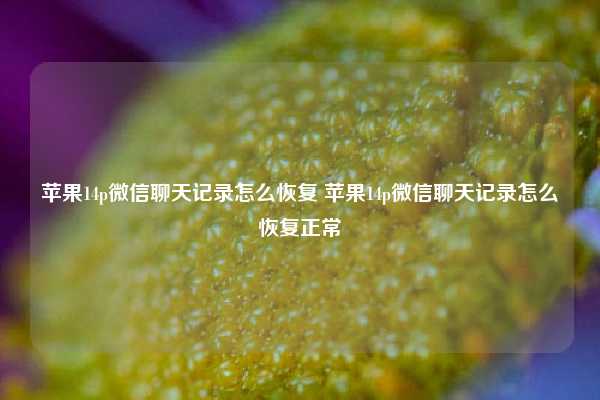 苹果14p微信聊天记录怎么恢复 苹果14p微信聊天记录怎么恢复正常