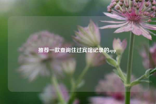 推荐一款查询住过宾馆记录的app 