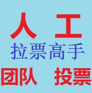 微信海光投票怎么投 微信投票咨询~光速网络工作室