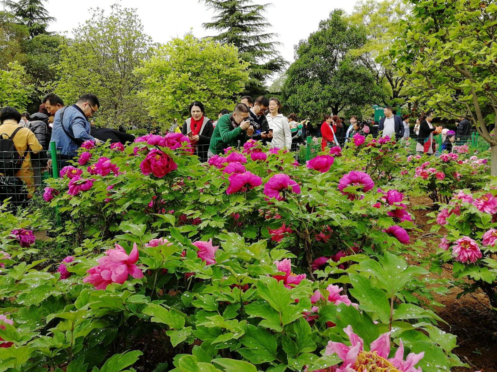 洛阳满城旅游攻略 洛阳城旅游景点大全景点排名榜