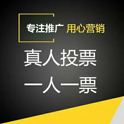 湖北人工微信投票团队 微信投票人工平台有哪些