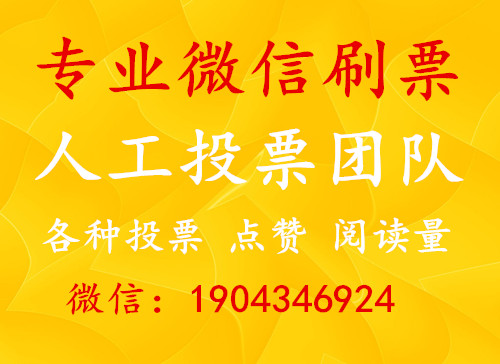 投票人工团队1000 投票人工团队10元10000票网站