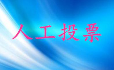 山西微信人工投票价格 山西微信人工投票价格是多少