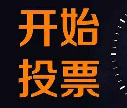 人工投票网上怎么收费 人工投票网上怎么收费的