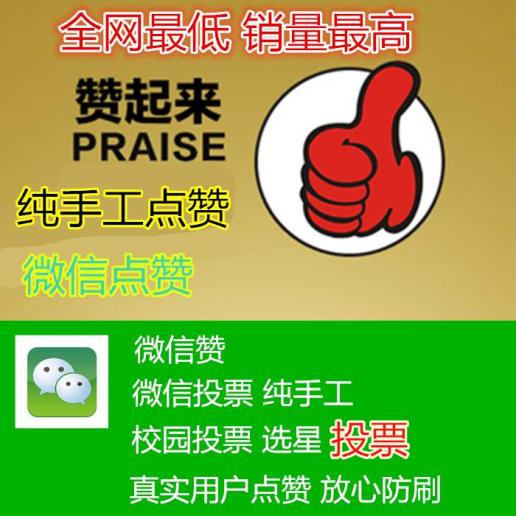 微信投票刷票团队怎么找的？找靠谱微信投票商家 