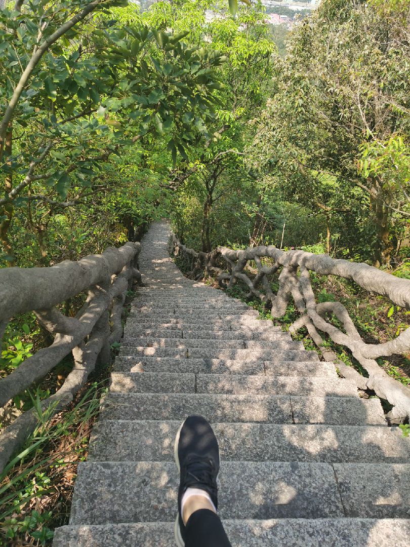 脑梗爬山的好处是什么呢 脑梗病人一般能去多高海拔的地方