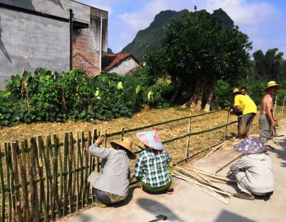 桃竹书简绮龙风猜生肖 桃竹书简绮龙凤打一动物