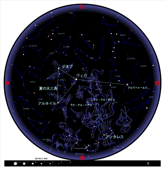 牛郎星位于哪个星座(牛郎星在哪个星座里)