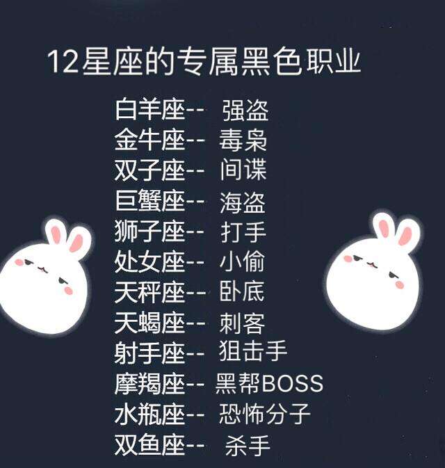 十二星座代表什么鬼(十二星座代表什么鬼东西)