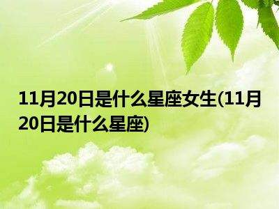 11月十号是什么星座(11月十号是什么星座的人)