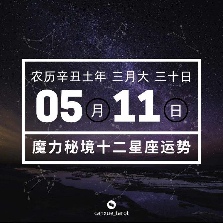 11月11号什么星座(11月11号是什么星座的)