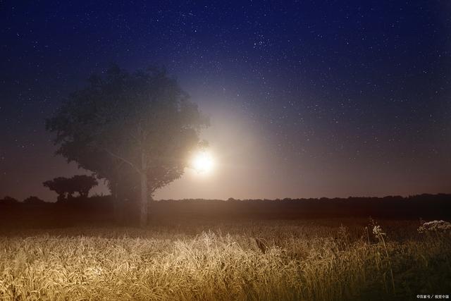 太月升是什么星座(太月升星座查询)