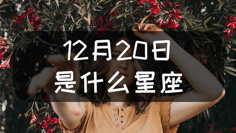 12月到一月是什么星座(一月到12月分别是什么星座)