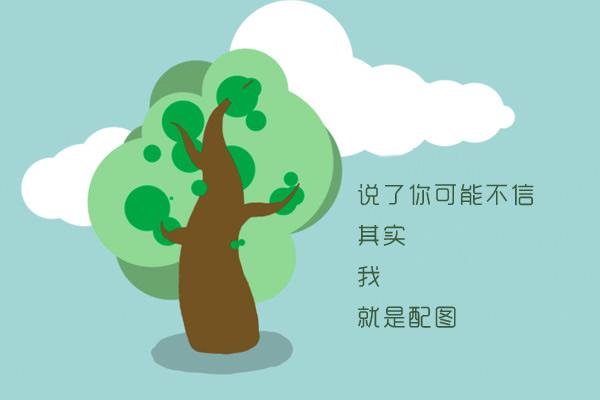 花彪是什么星座(花彪叫什么名字?)