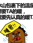 同道大叔处女座之歌(狮子座之歌同道大叔)