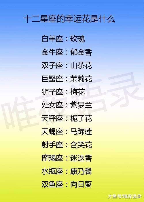 十二星座的代表花折法(12星座狮子座的折法)