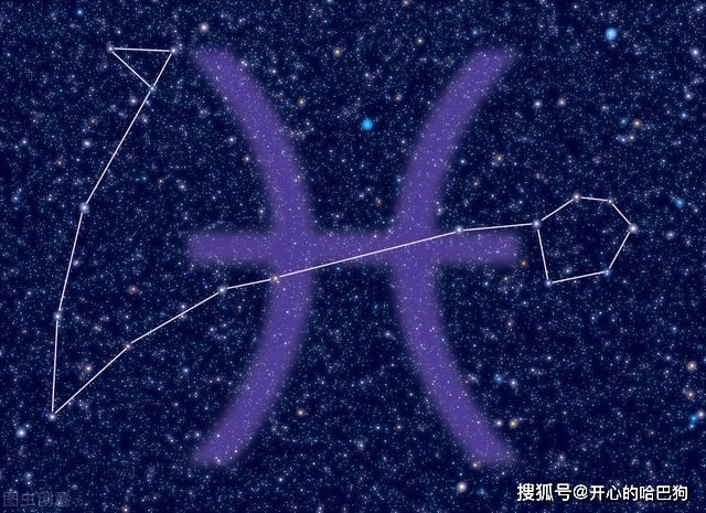 什么星座最怕冷(什么星座最怕冷战)