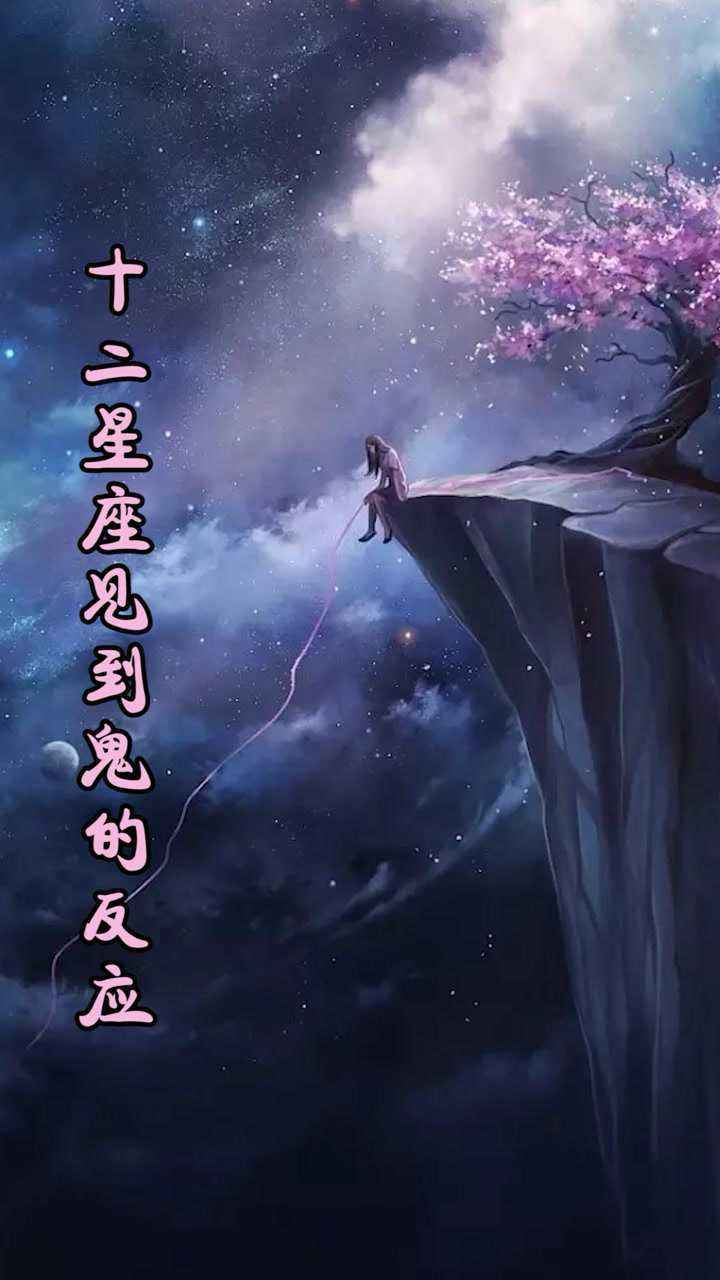 十二星座都是什么鬼(十二星座都是什么鬼视频)