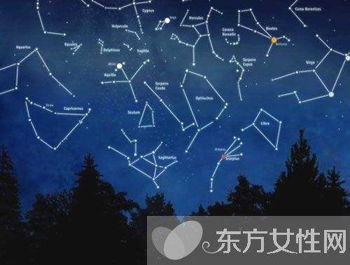 火象星座有哪些特点(火象星座有哪些特点和性格)