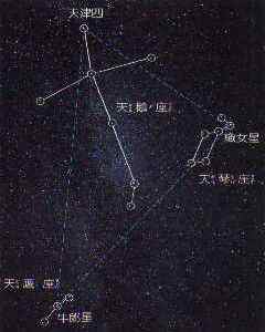 牛郎星是哪个星座的(牛郎星是哪个星座的主星)