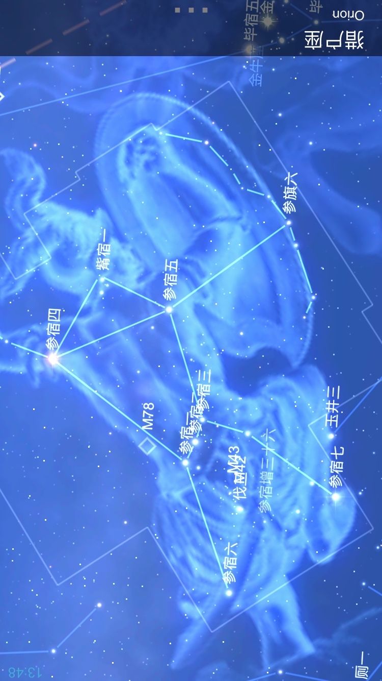 猎户座是什么星座(猎户座是什么星座的人)