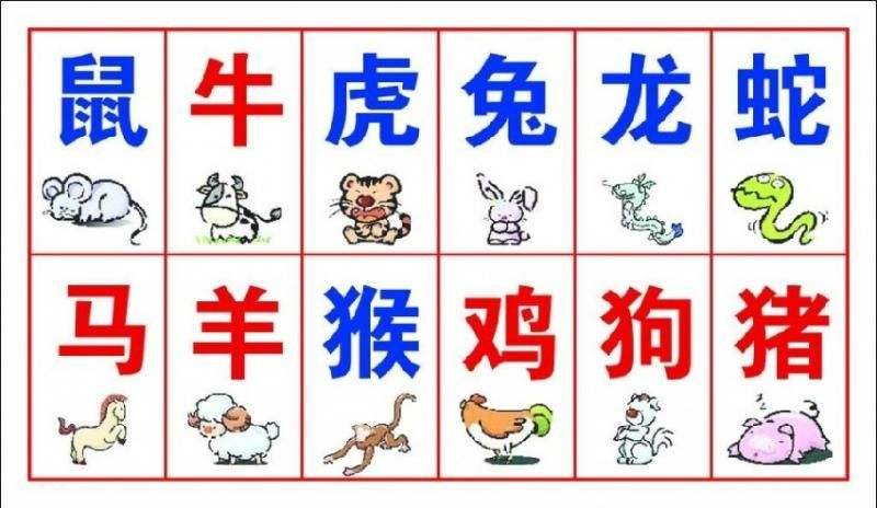 十二生肖属相算命表图(十二生肖属相算命表图解)