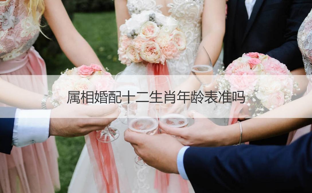 婚姻不能相配的生肖表(十二生肖的婚配和不能相配表)