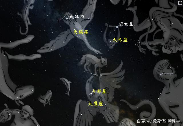 天上有多少个星座(天上的星座一共有几个)