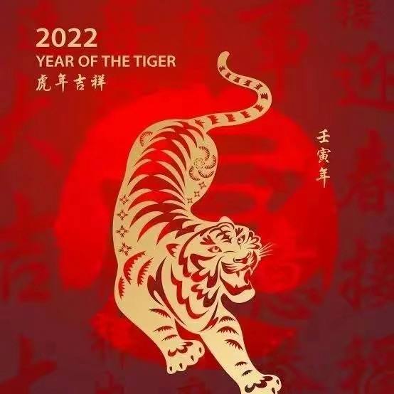 2022虎年生肖表排码表(2022虎年生肖表排码表图)