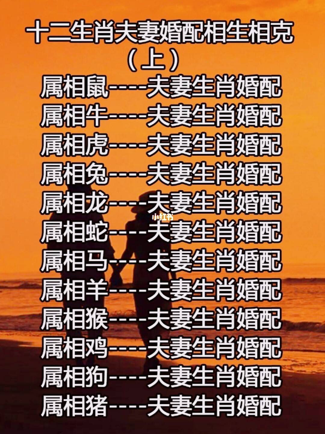 八字生肖表(八字生肖表十二顺序)