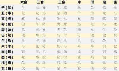 十二生肖位置排序表(十二生肖排序表图排位)