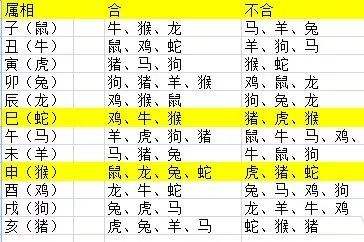 12生肖相冲表(12生肖相冲表相克表)