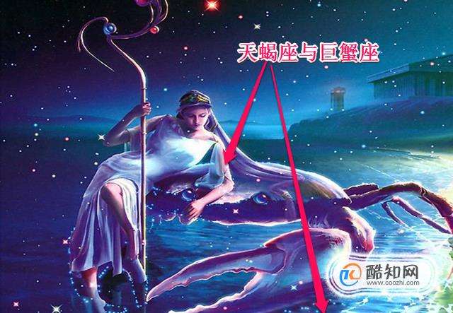 天蝎女配什么星座男(天蝎女配什么星座男最好)