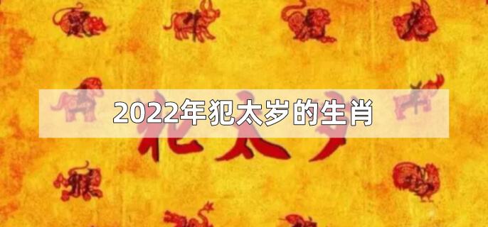 2022年以后的生肖表(明年2022年属什么生肖)