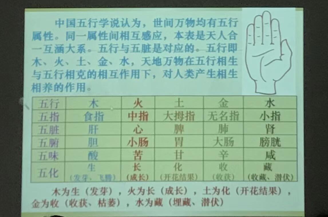 五指生肖表(手五指代表什么生肖)